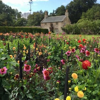 新天地棋牌下载手机版