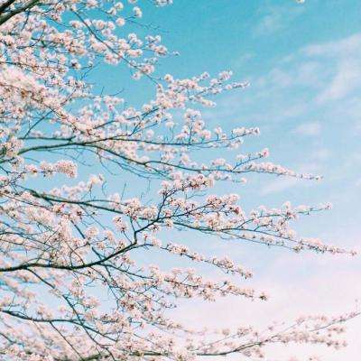 AG大厅网址手机app下载截图